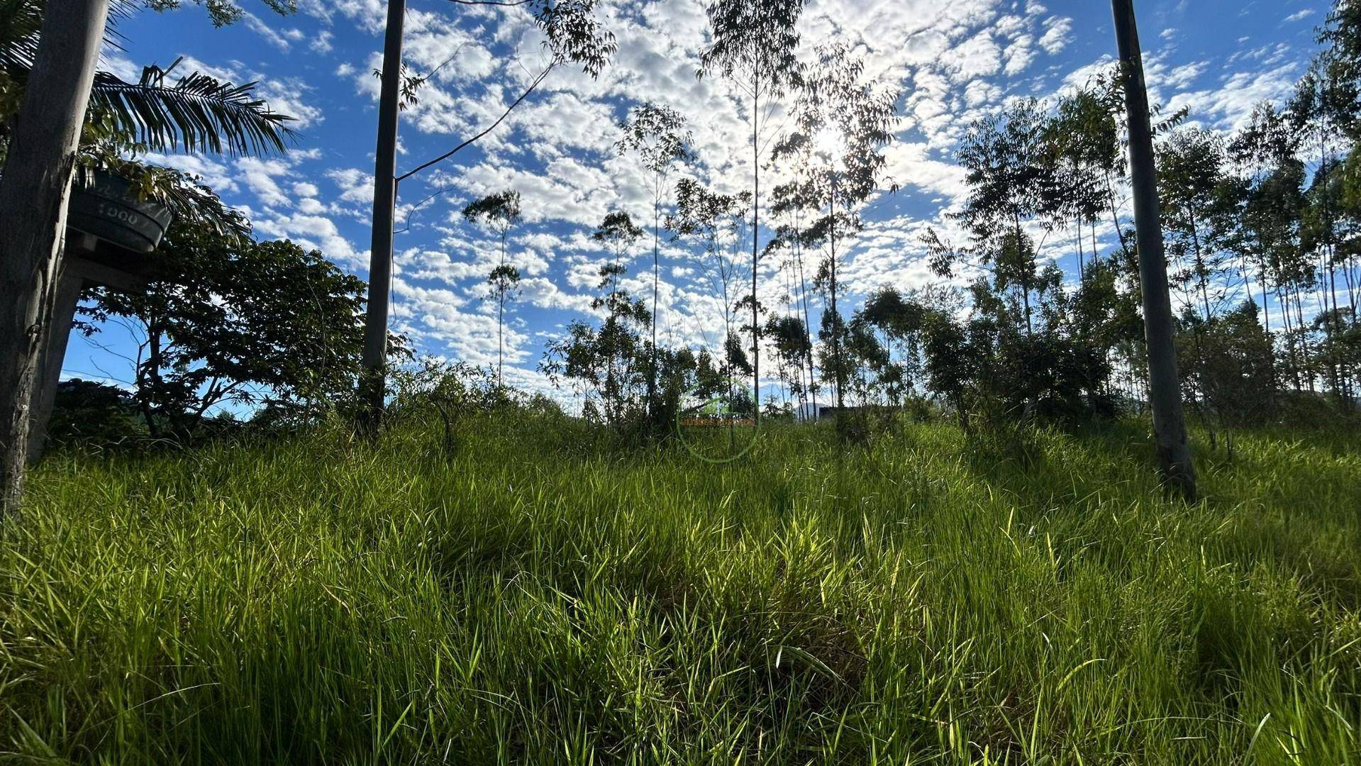 Sítio, 3 hectares - Foto 42