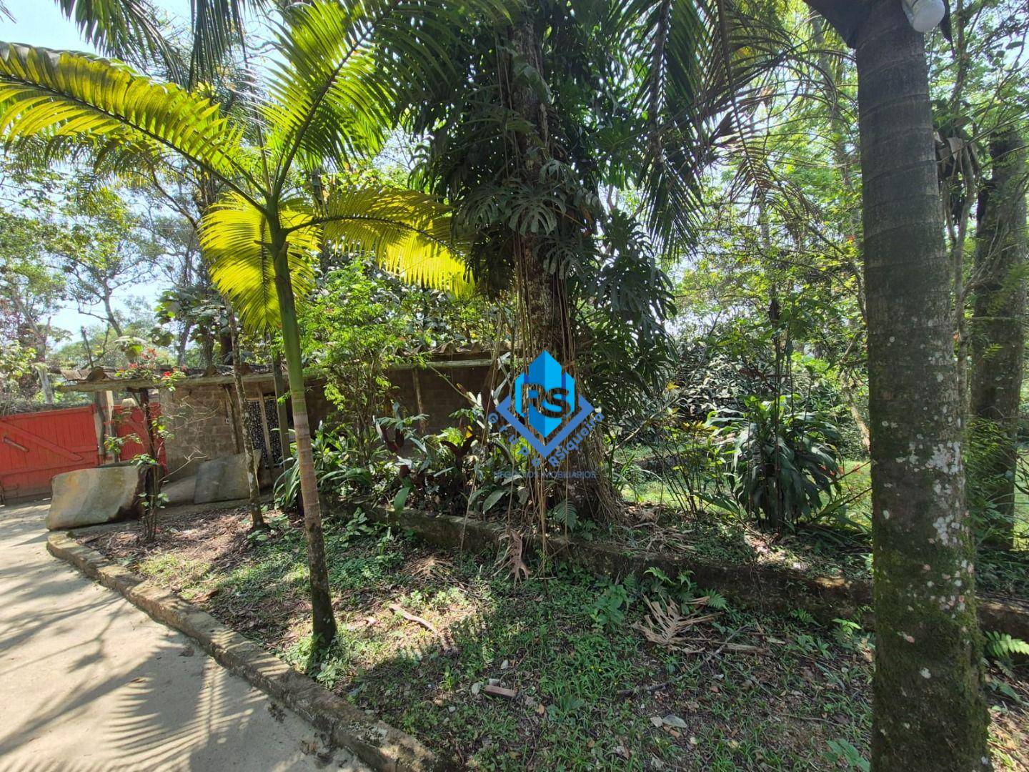 Chácara, 2 quartos, 5035 m² - Foto 4