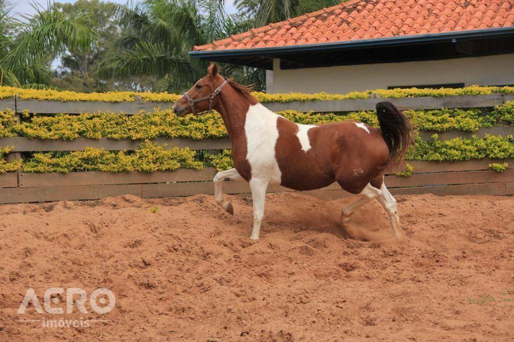 Fazenda à venda com 3 quartos, 400m² - Foto 14