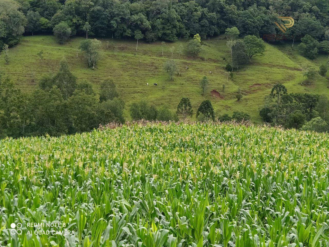 Terreno à venda, 169000M2 - Foto 39