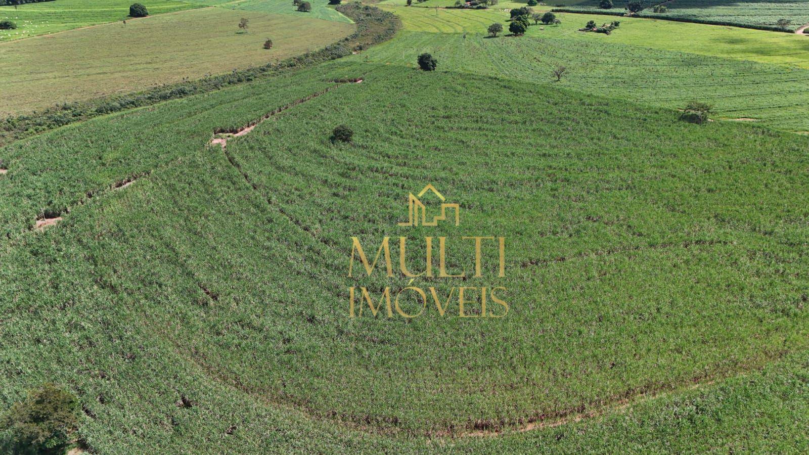 Fazenda à venda com 3 quartos, 556600M2 - Foto 3