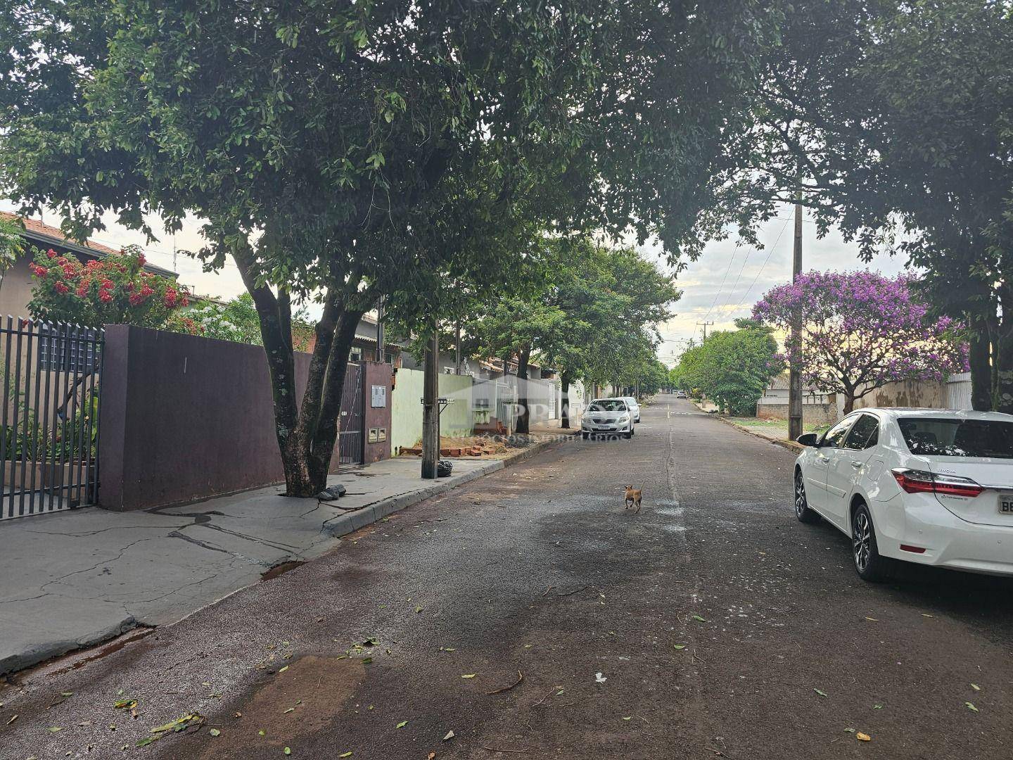 Casa, 2 quartos, 80 m² - Foto 3