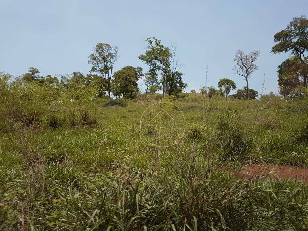 Fazenda à venda, 31460000M2 - Foto 4