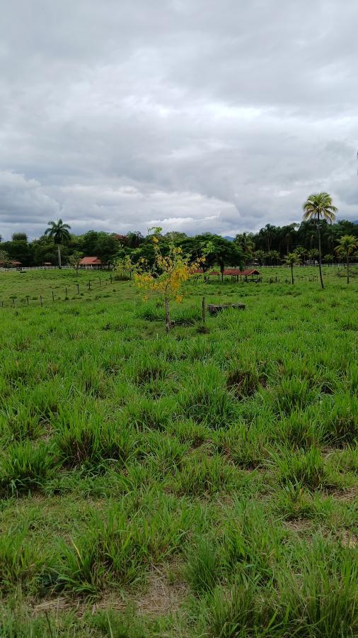 Fazenda à venda com 4 quartos, 19m² - Foto 25