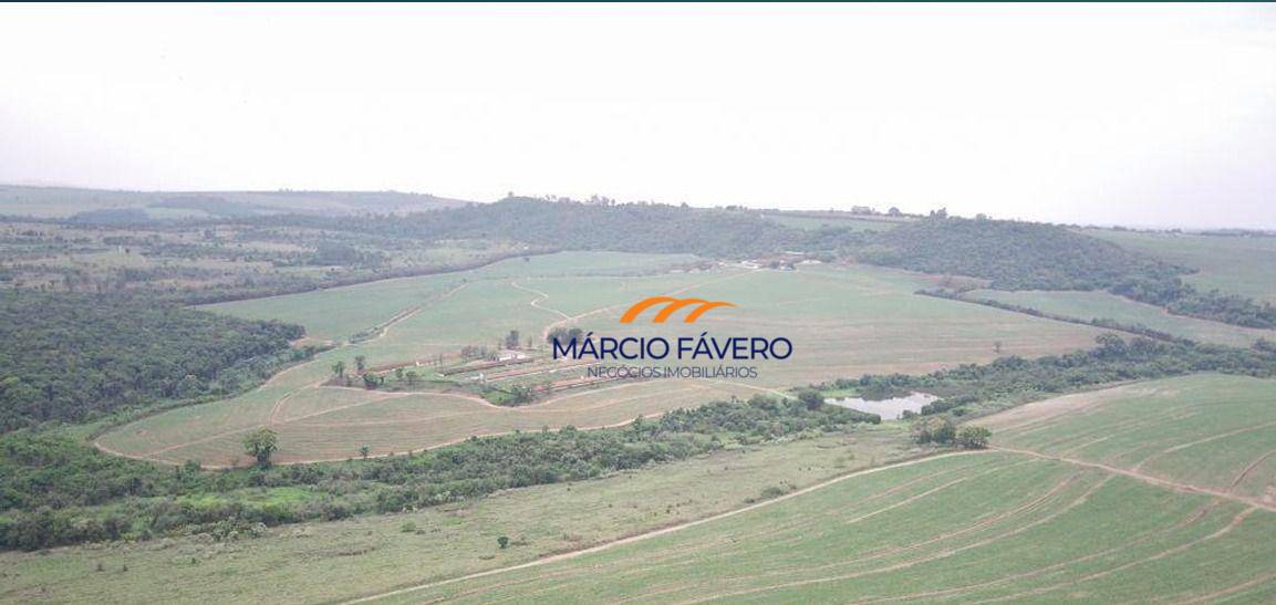 Fazenda, 390 hectares - Foto 8