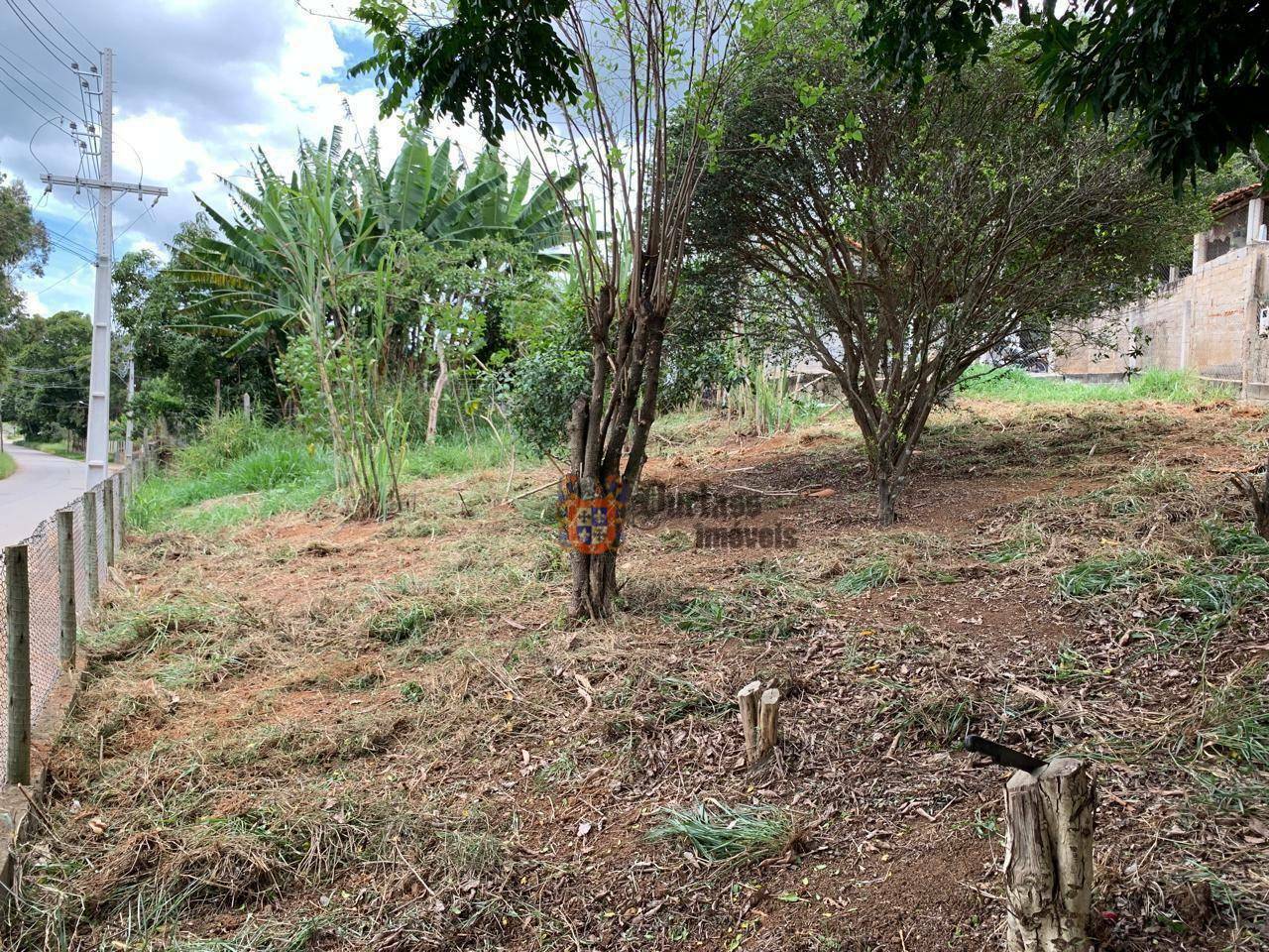 Casa à venda com 2 quartos, 700M2 - Foto 13