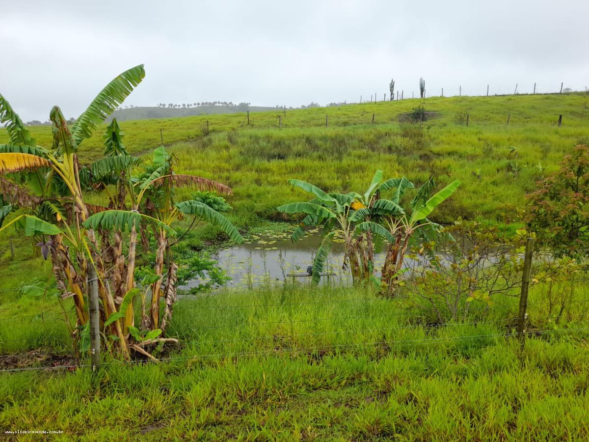 Fazenda à venda com 2 quartos, 61000m² - Foto 22