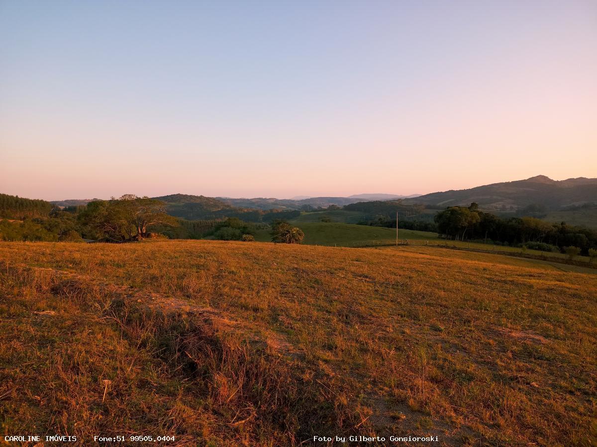 Fazenda à venda com 3 quartos, 586000m² - Foto 25