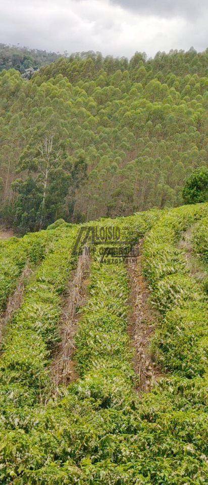 Fazenda à venda, 1452000M2 - Foto 54