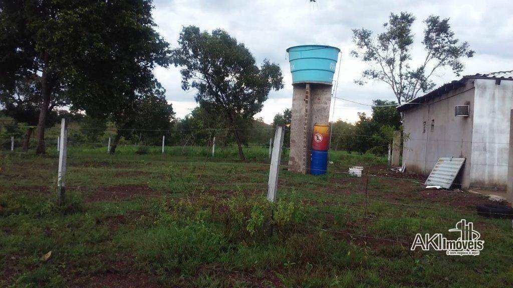 Fazenda à venda com 2 quartos, 4500000M2 - Foto 10