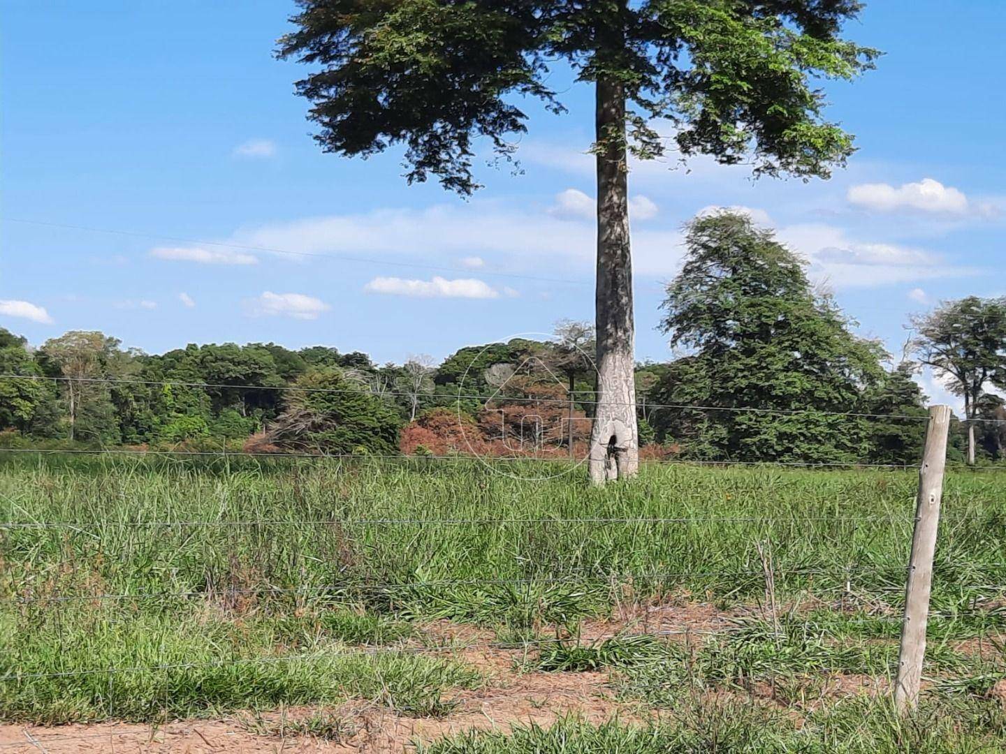 Fazenda à venda, 14520000M2 - Foto 7