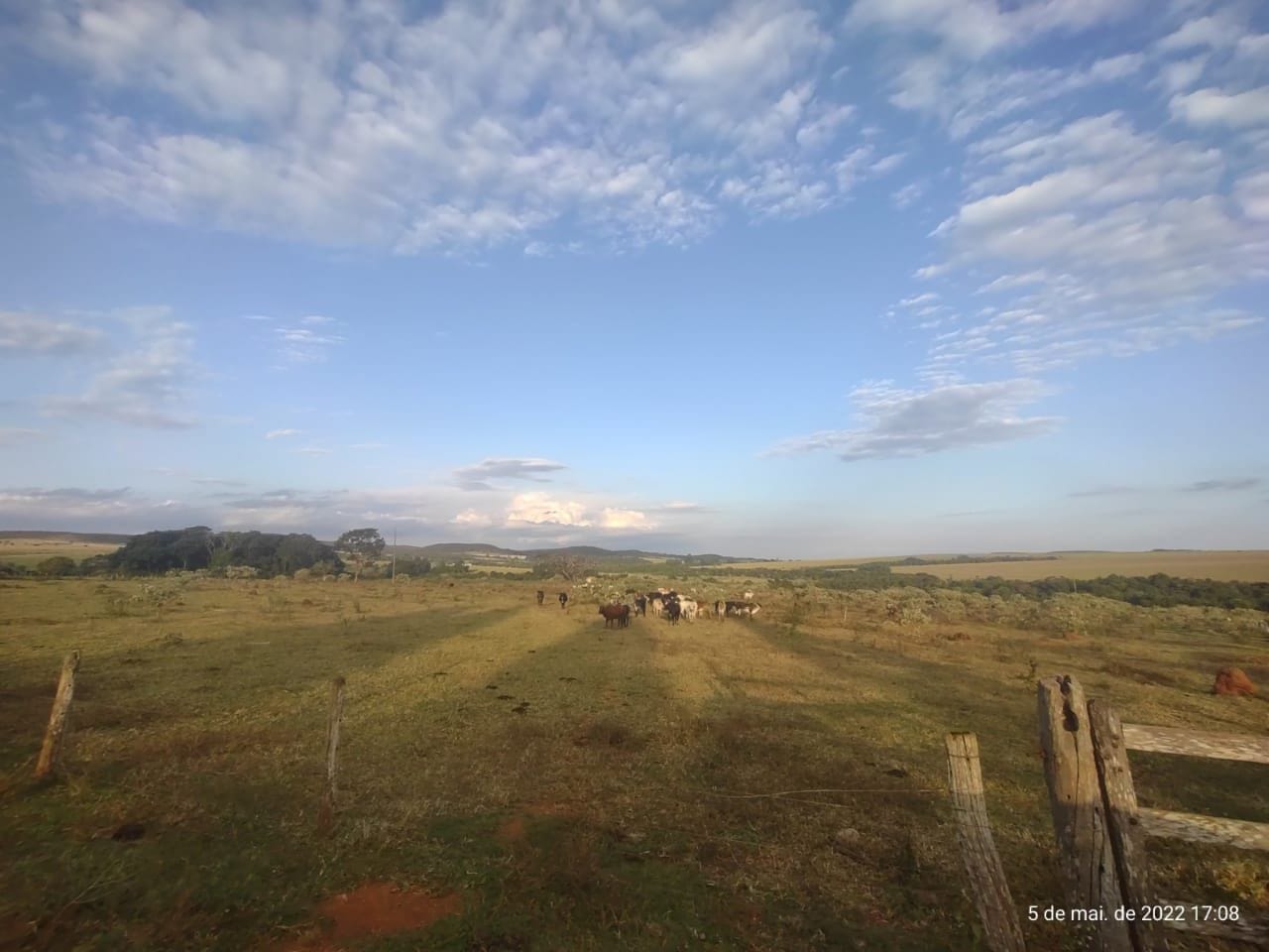 Fazenda-Sítio-Chácara, 42 hectares - Foto 3