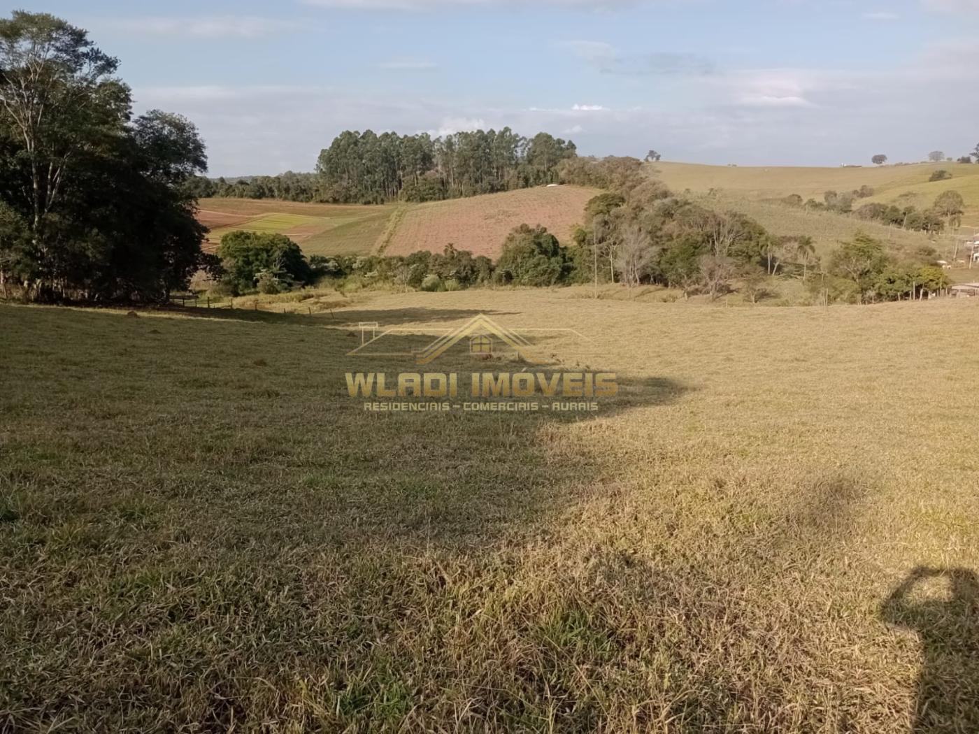 Fazenda à venda com 2 quartos, 4m² - Foto 6