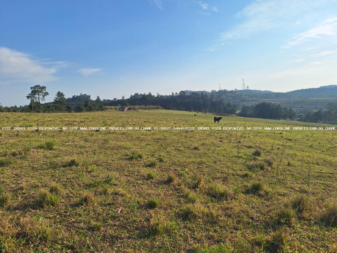 Fazenda à venda, 80000m² - Foto 45