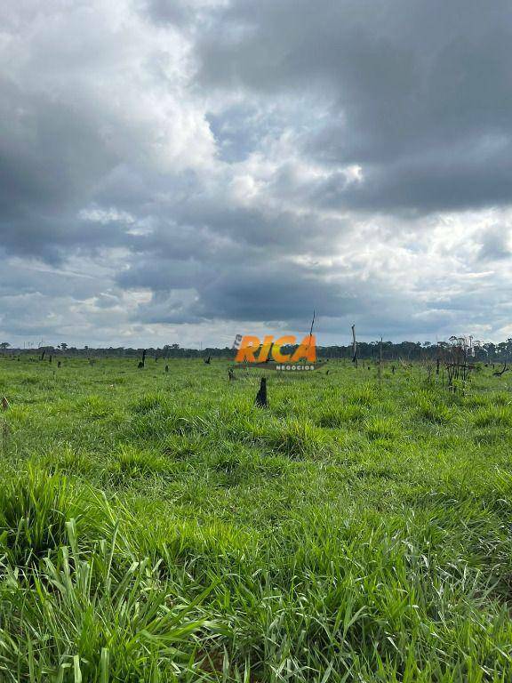 Fazenda à venda, 10060000M2 - Foto 15