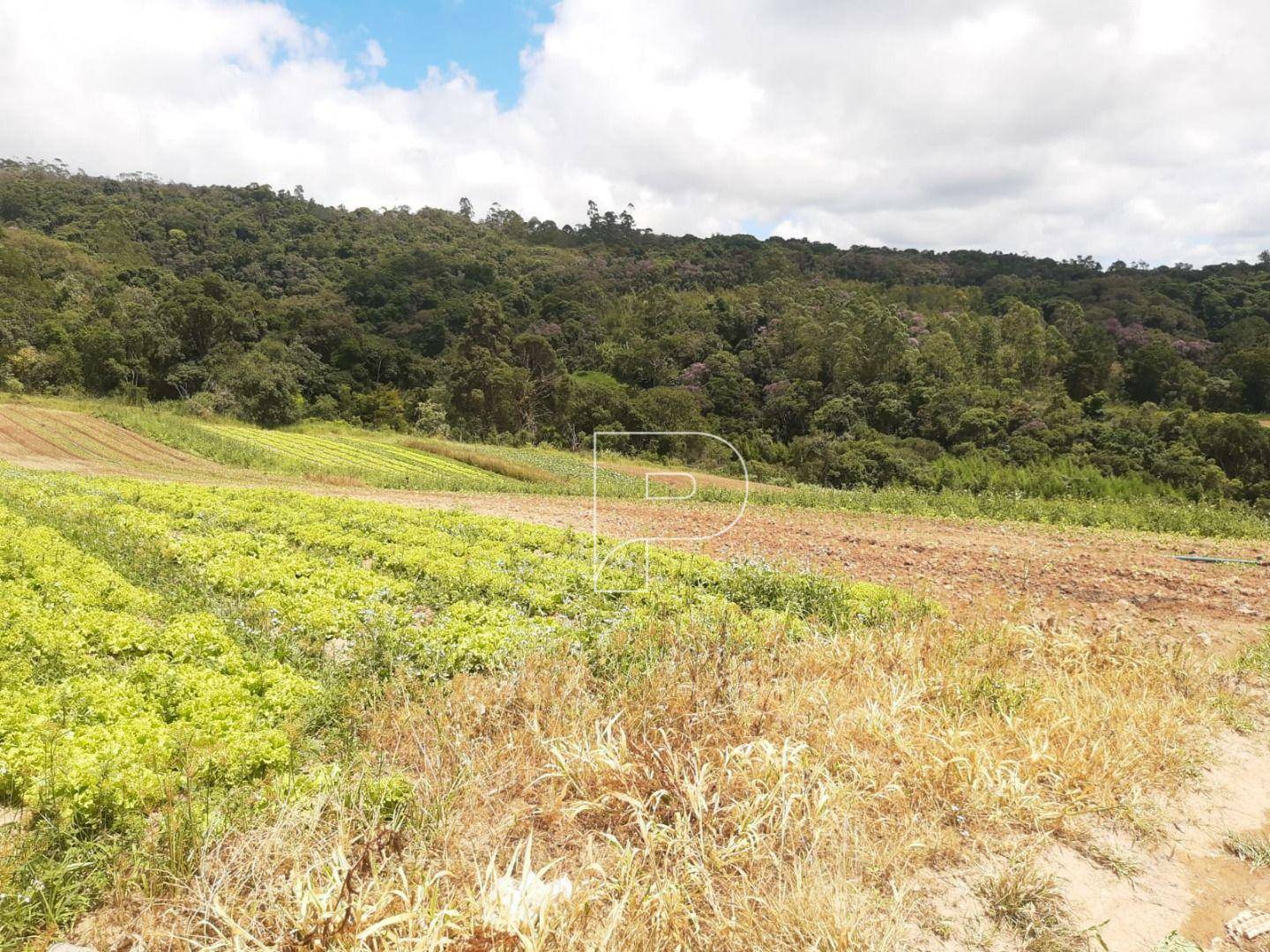 Terreno à venda, 39000M2 - Foto 18