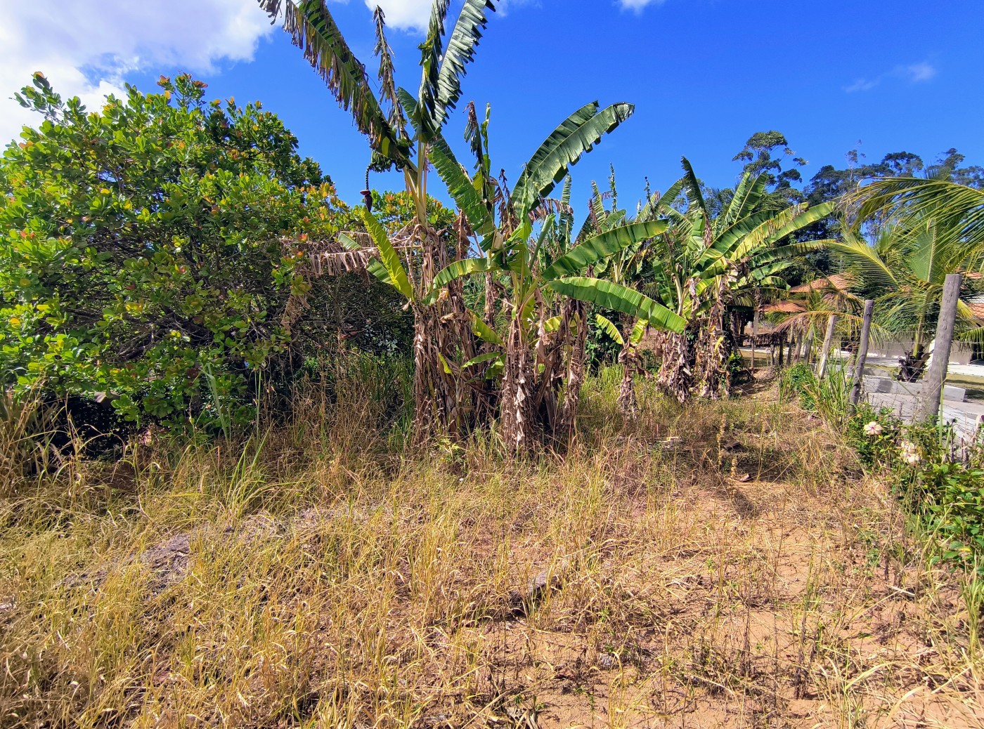 Terreno à venda, 450m² - Foto 12