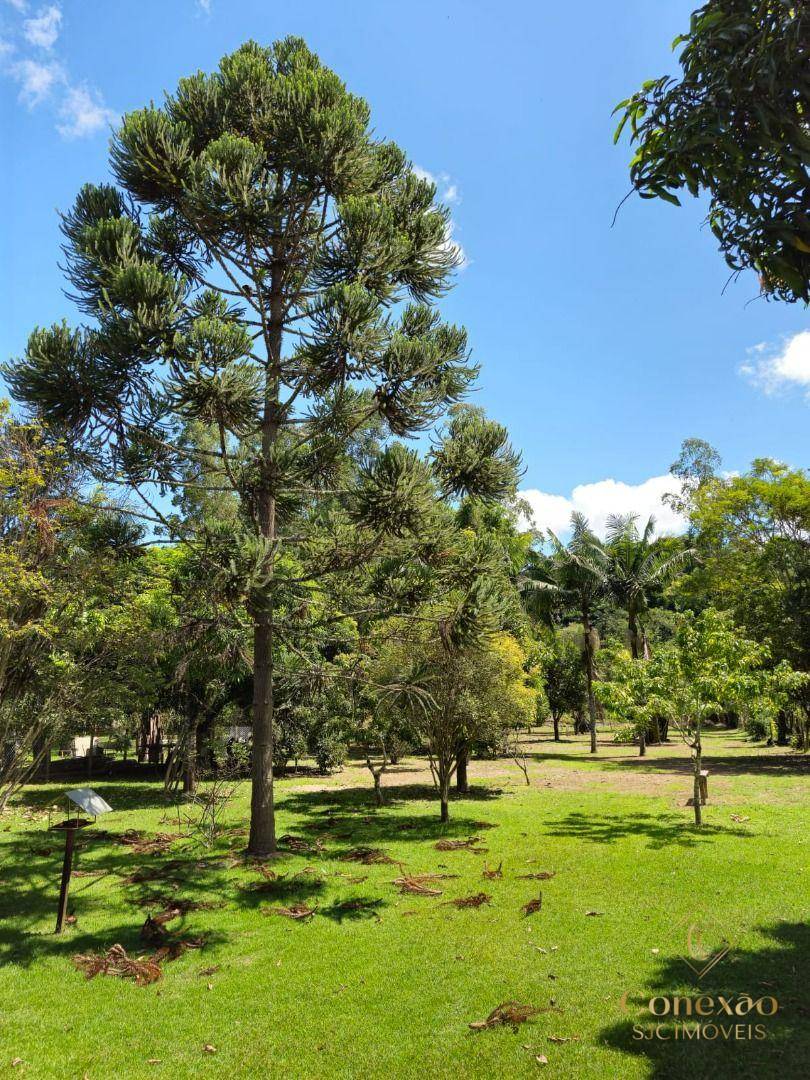 Chácara, 3 quartos, 5000 m² - Foto 46