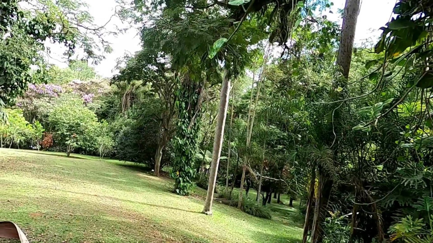 Casa de Condomínio à venda com 4 quartos, 9000m² - Foto 35
