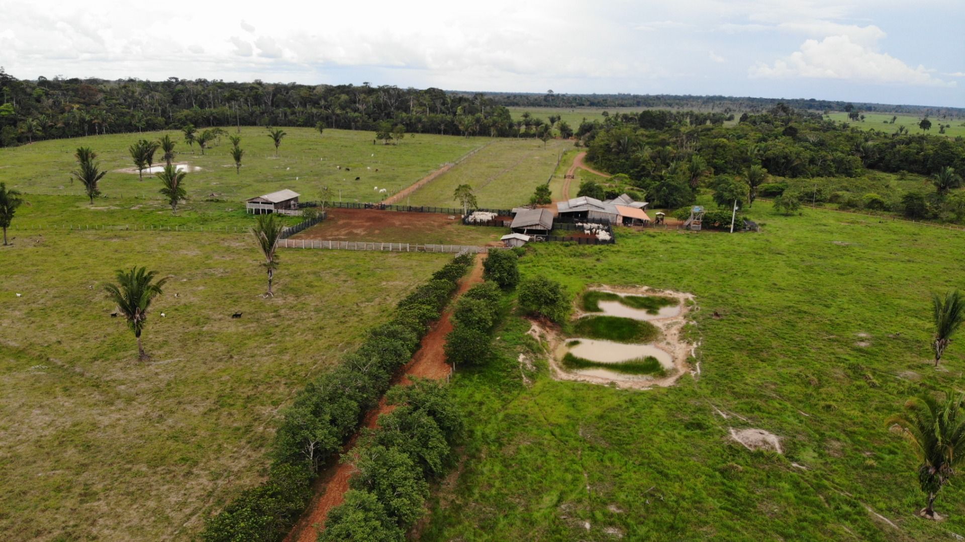 Fazenda-Sítio-Chácara, 484 hectares - Foto 3