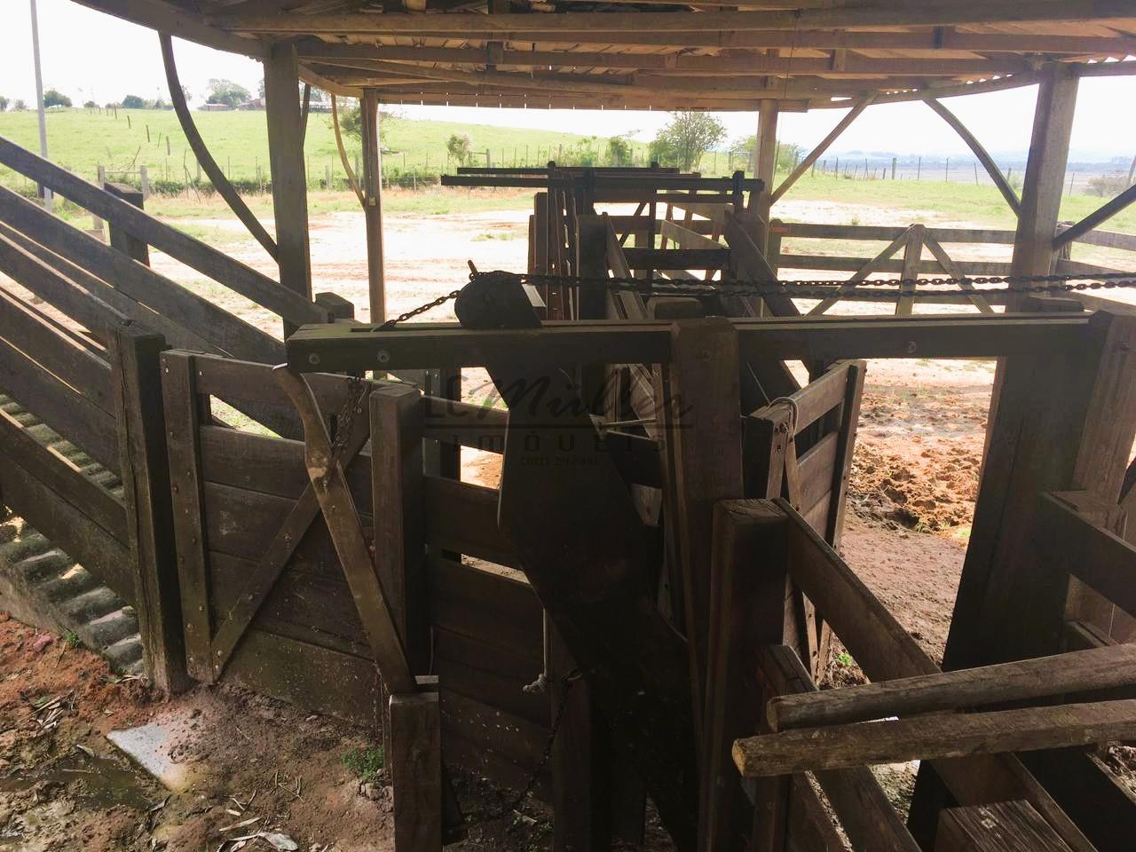 Fazenda à venda, 188m² - Foto 4