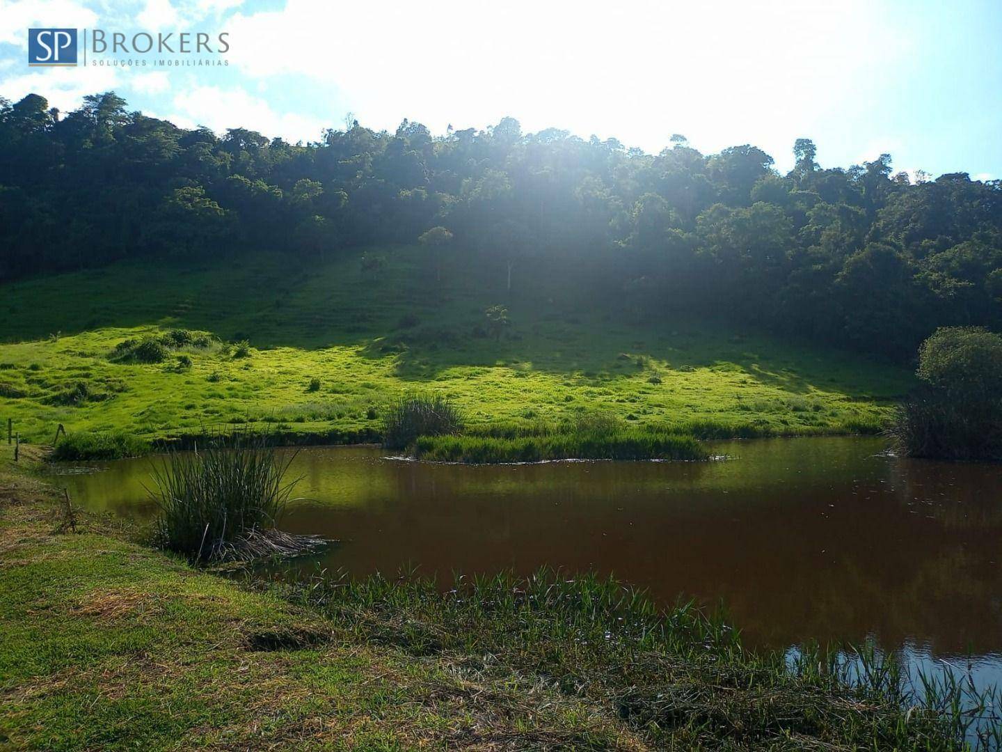 Fazenda à venda com 4 quartos, 400m² - Foto 15