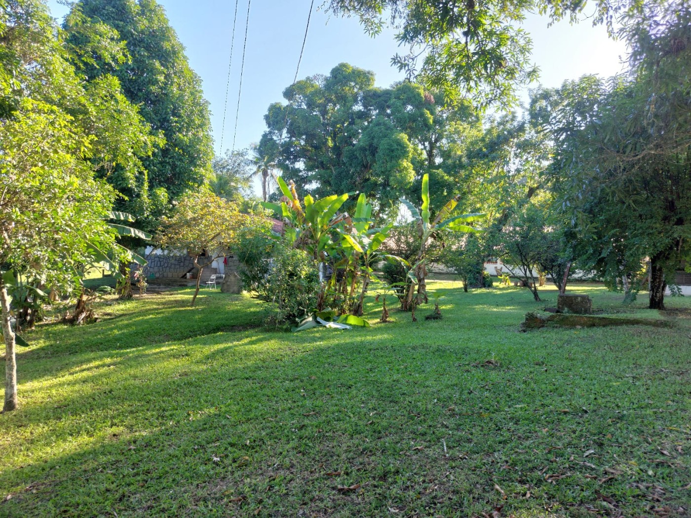 Fazenda à venda com 4 quartos, 34m² - Foto 31
