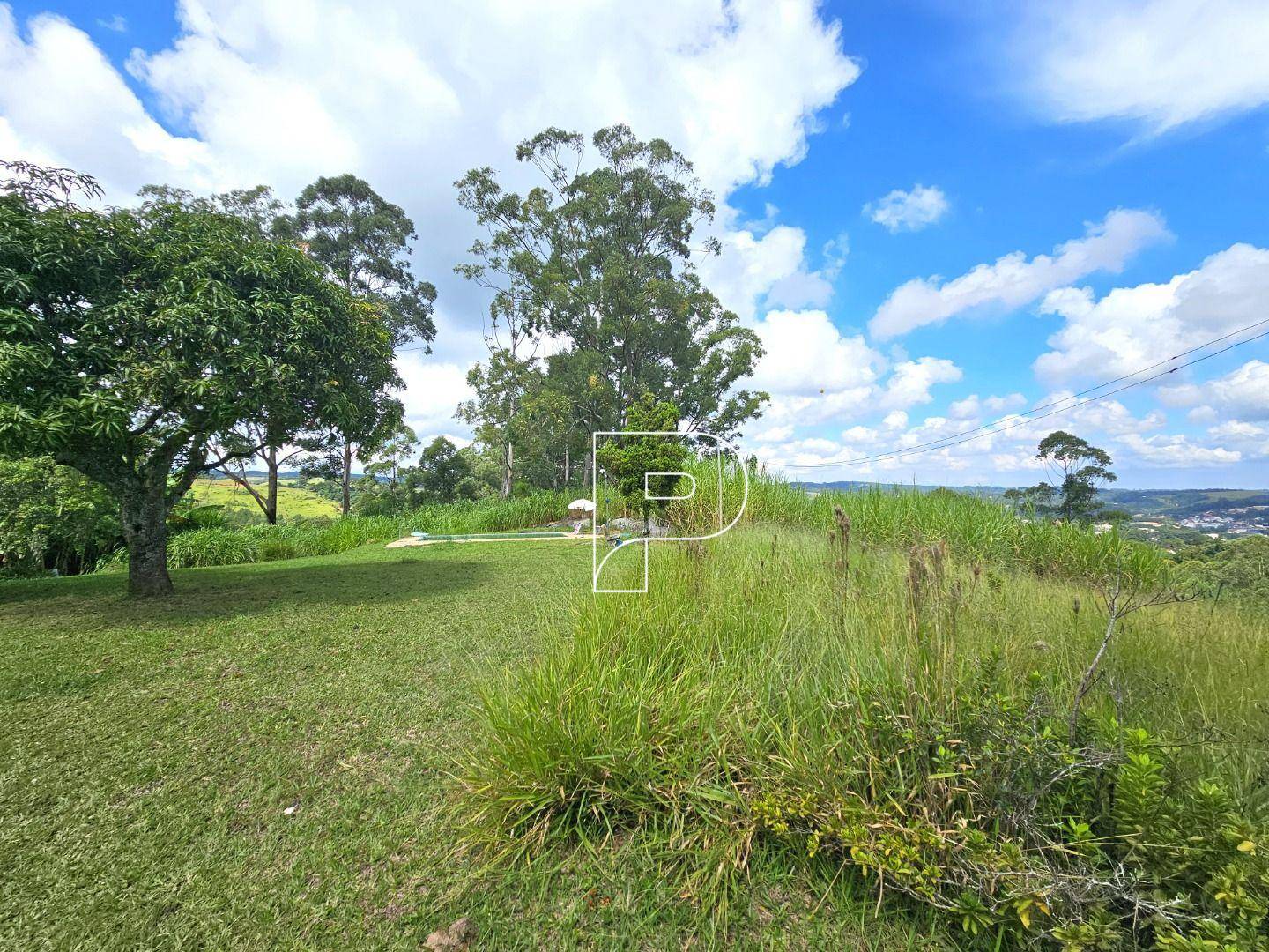 Terreno, 4 hectares - Foto 9