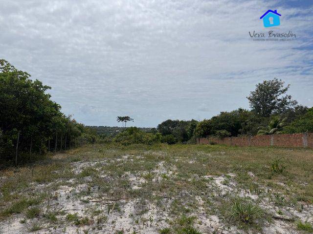 Terreno, 2500 m² - Foto 2