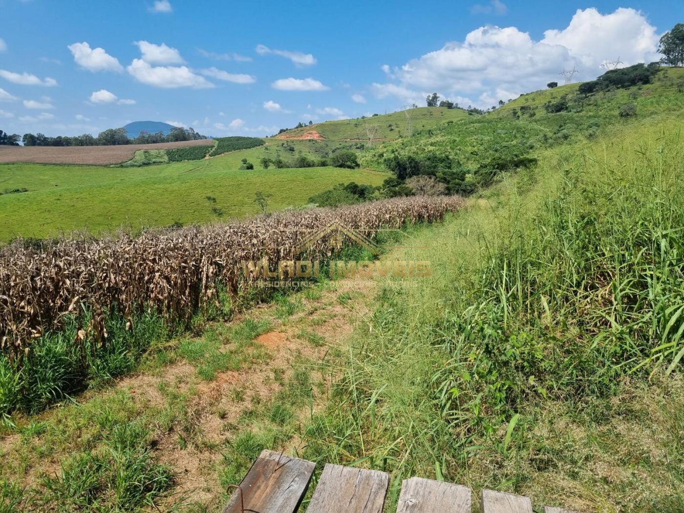 Fazenda à venda, 226m² - Foto 20