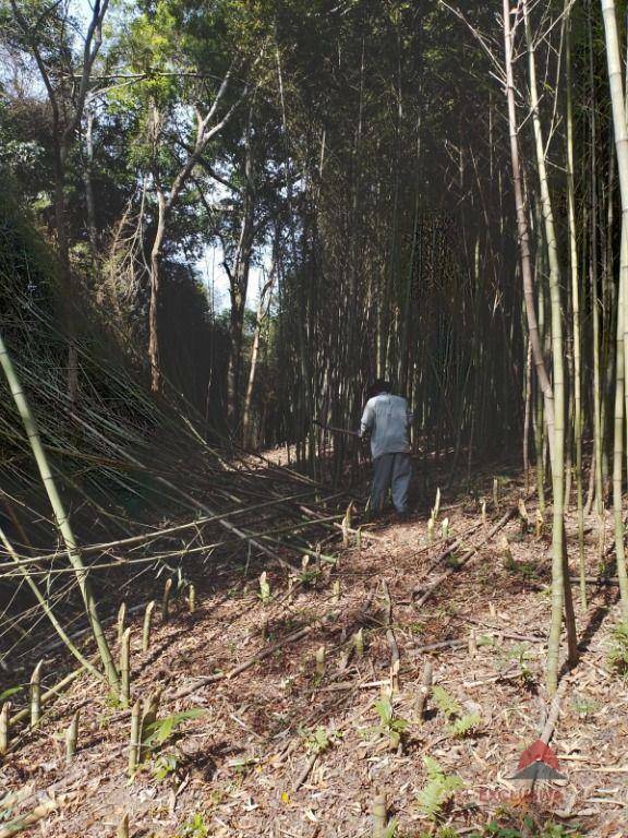Terreno à venda, 101200M2 - Foto 10