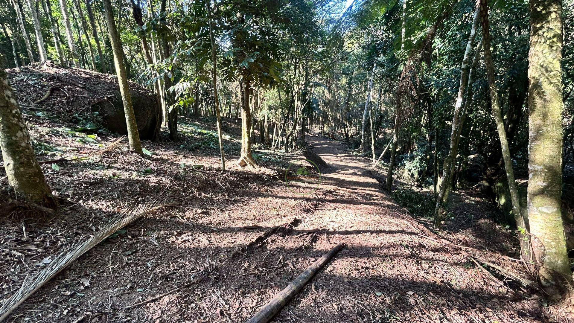 Terreno, 10000 m² - Foto 8