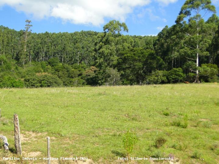 Fazenda à venda com 3 quartos, 160000m² - Foto 24