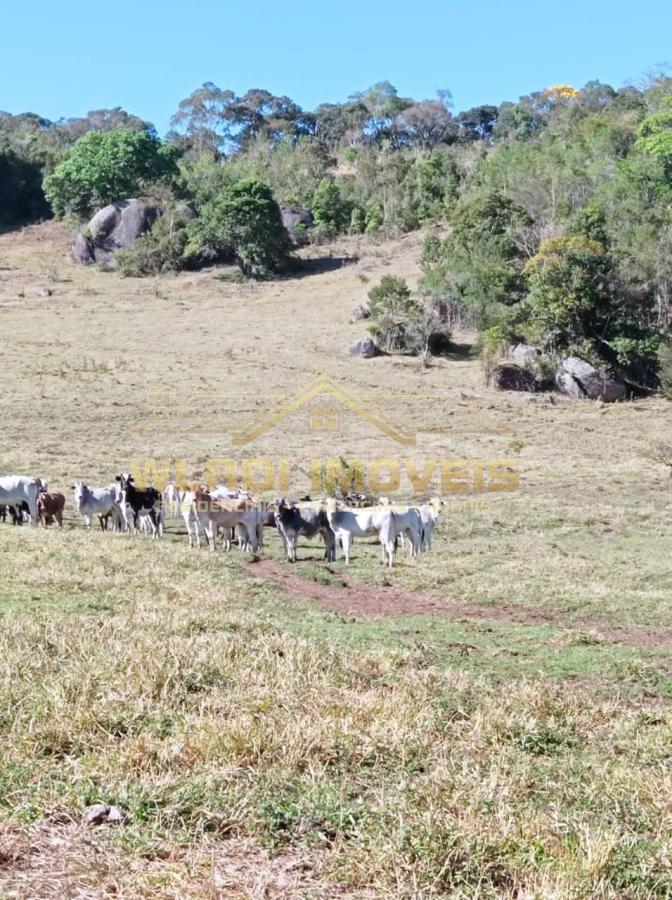 Fazenda à venda, 32m² - Foto 41