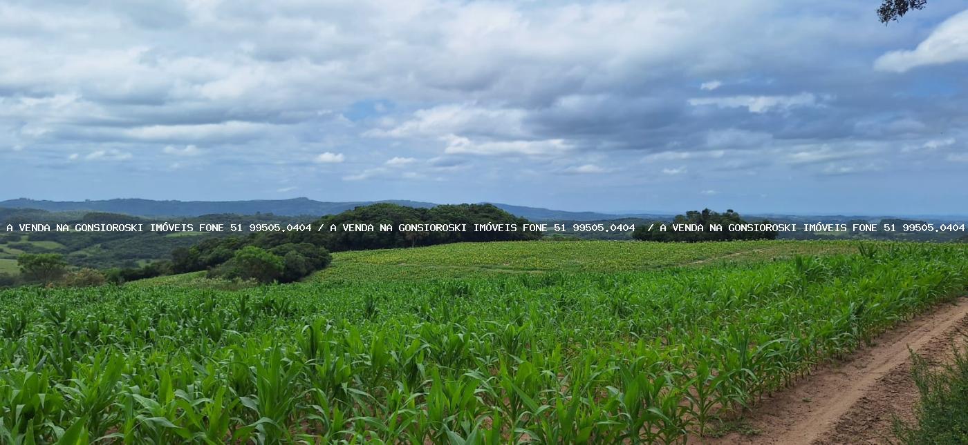 Loteamento e Condomínio à venda, 125000m² - Foto 1