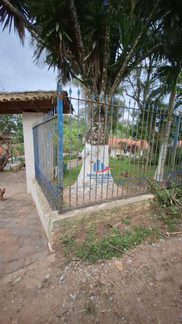 Chácara à venda e aluguel com 3 quartos, 600m² - Foto 38