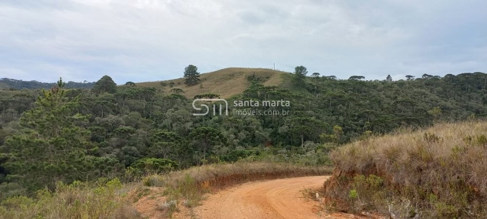 Fazenda à venda, 150m² - Foto 6