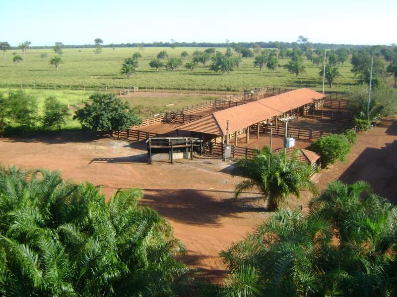 Chácara à venda - Foto 9