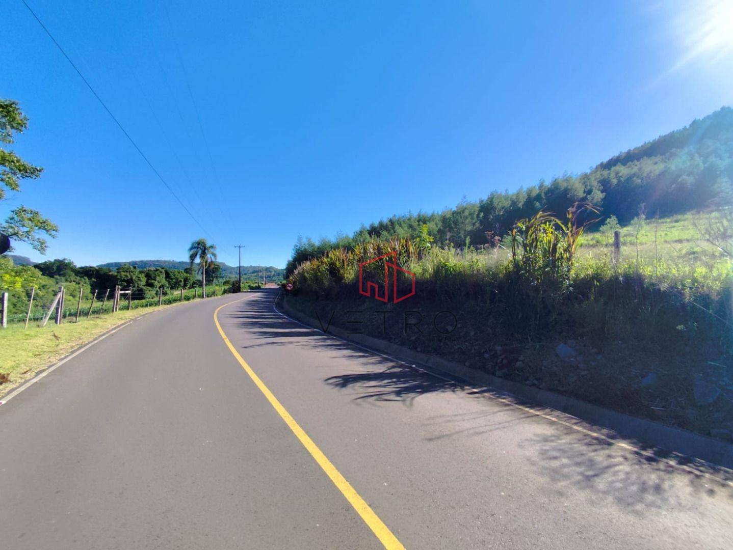 Sítio, 4 hectares - Foto 11