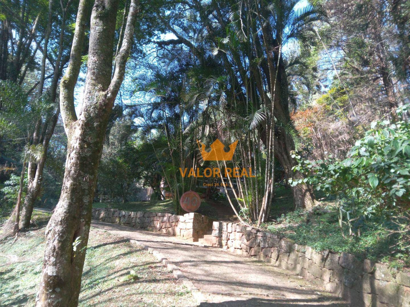 Sítio, 15 quartos, 10 hectares - Foto 14