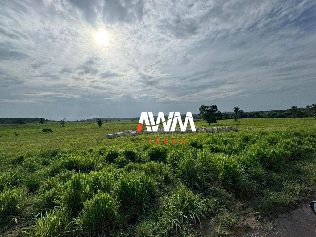 Fazenda, 865 hectares - Foto 5