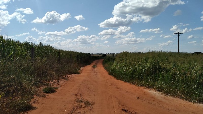 Fazenda, 41 hectares - Foto 9