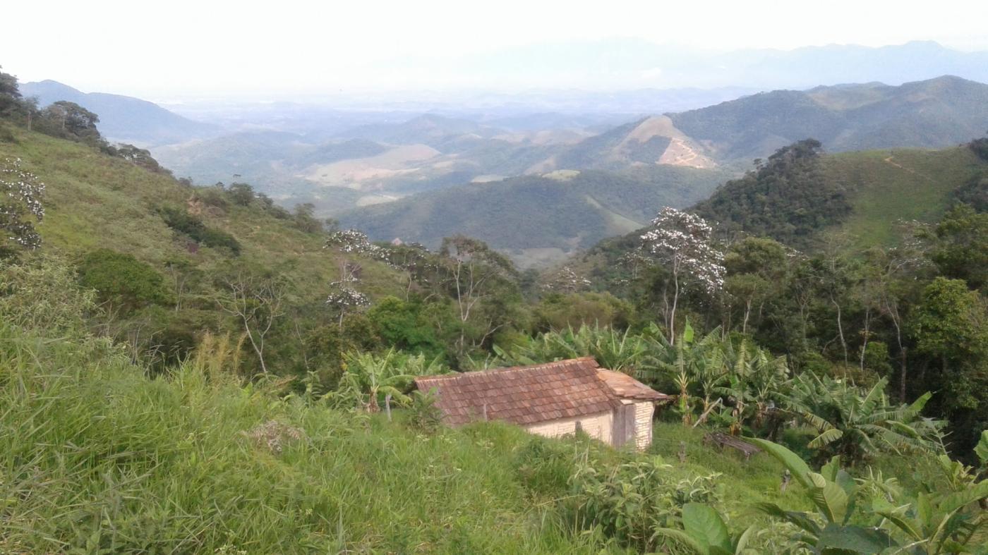 Terreno à venda com 1 quarto, 290000m² - Foto 12