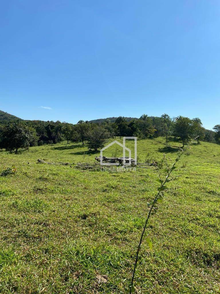 Fazenda à venda com 3 quartos, 21217700000M2 - Foto 37