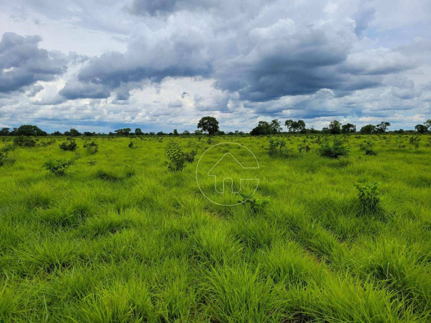 Fazenda à venda, 61350000M2 - Foto 16