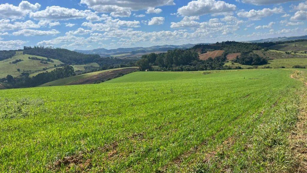 Fazenda, 339 hectares - Foto 2