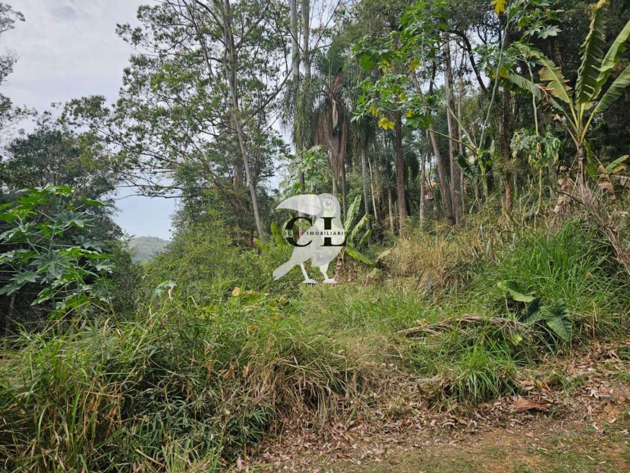 Terreno, 600 m² - Foto 3