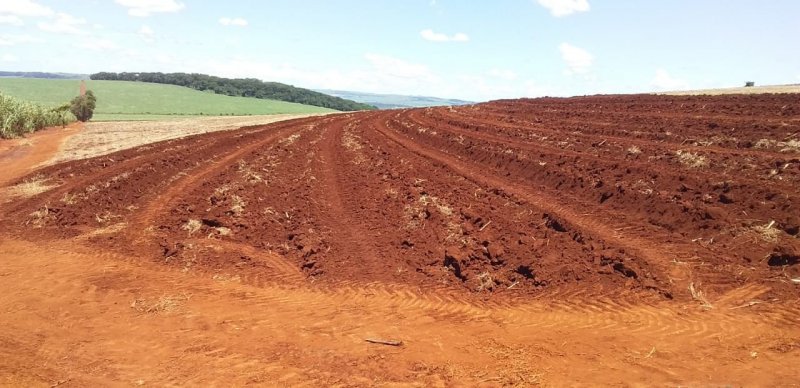 Fazenda, 773 hectares - Foto 2