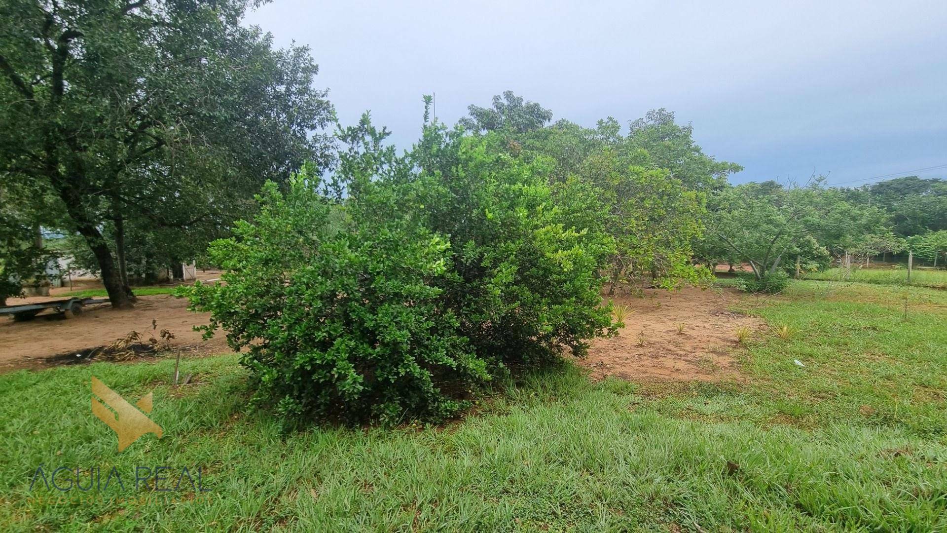 Chácara à venda com 3 quartos, 100m² - Foto 11