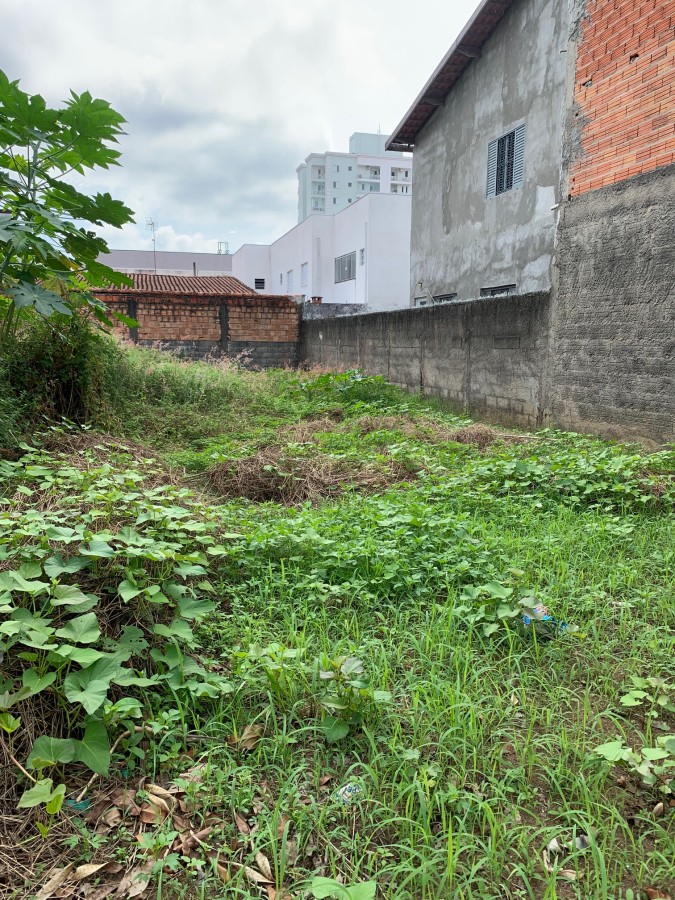 Terreno para alugar, 300m² - Foto 1